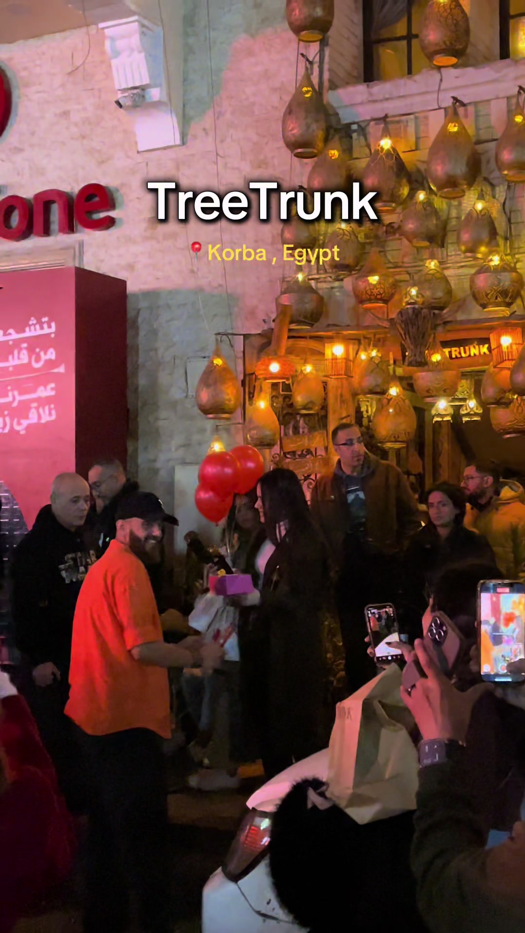 @Tree Trunk