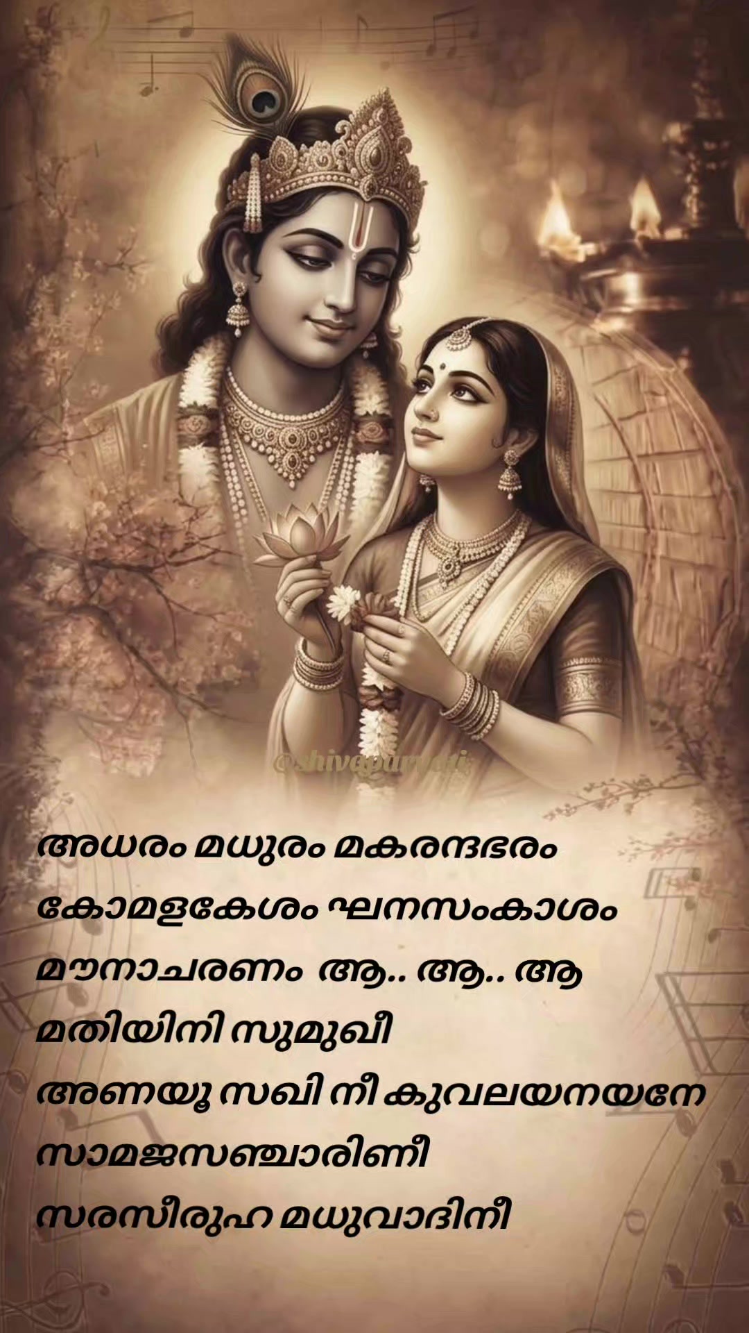 @q8mallu20
