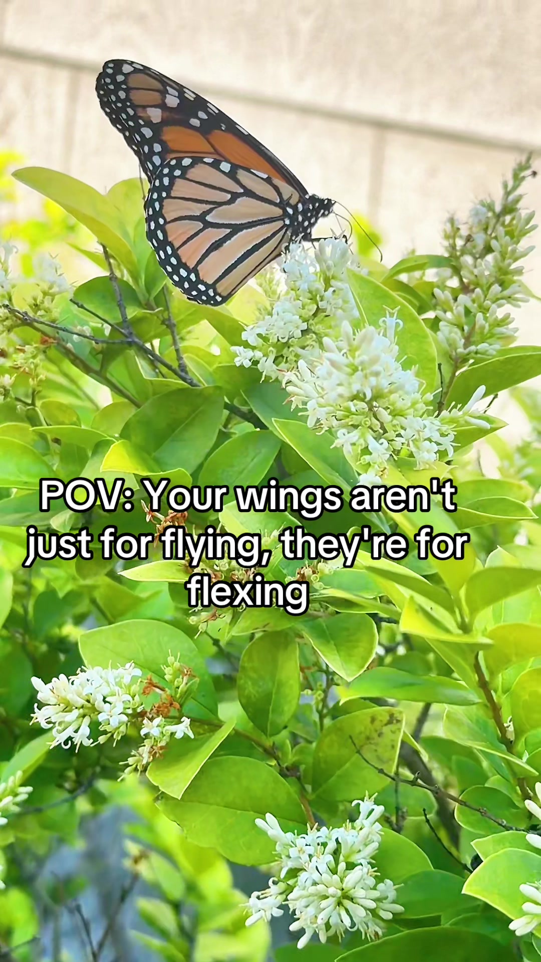@BG💜