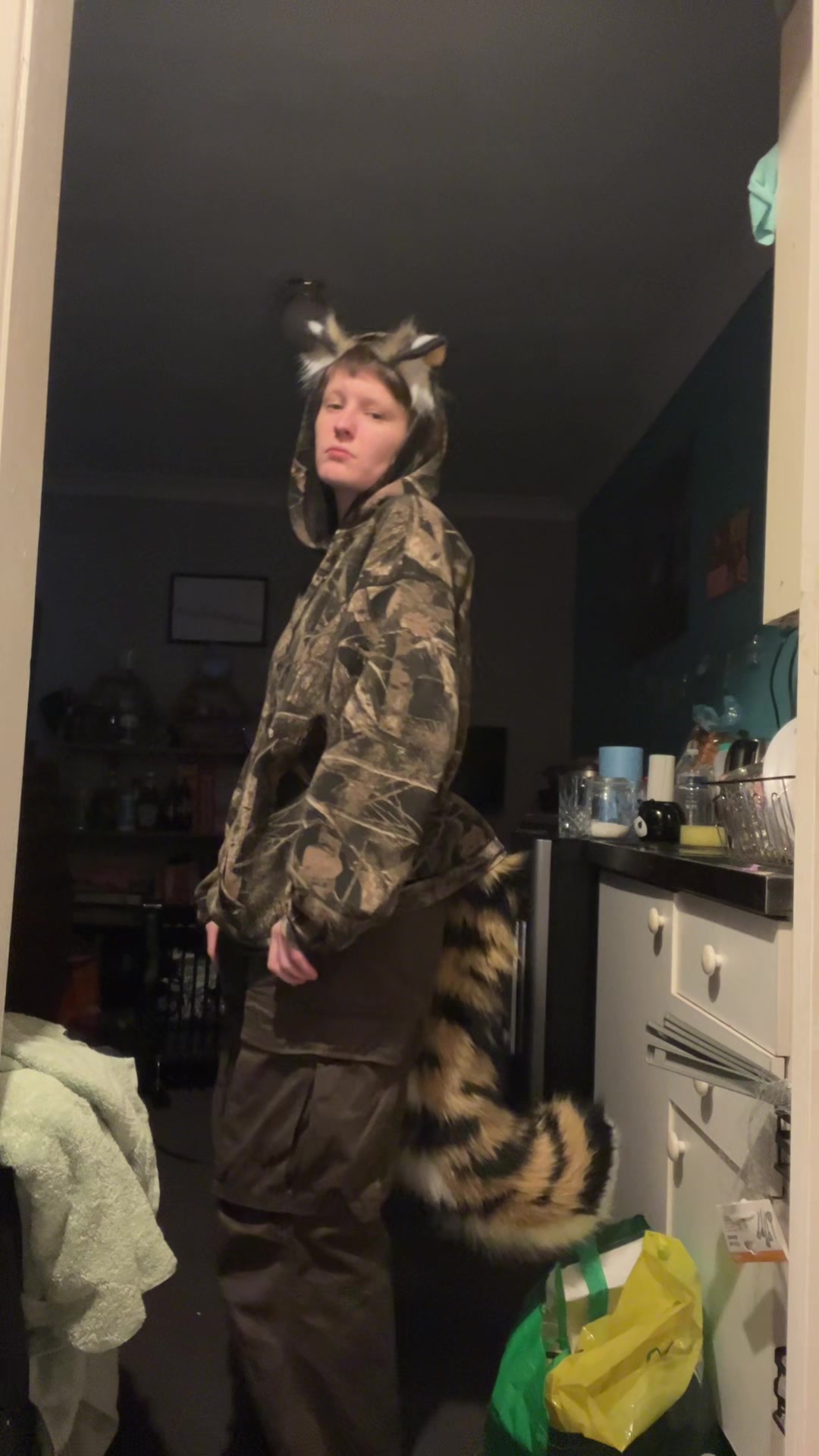 @🐅 𝚐𝚛𝚊𝚢 🐅