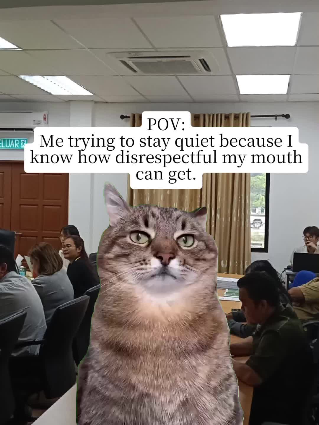 @๖ۣ•҉ṃєʟʟԀєʟяȏṡєᥫᩣ