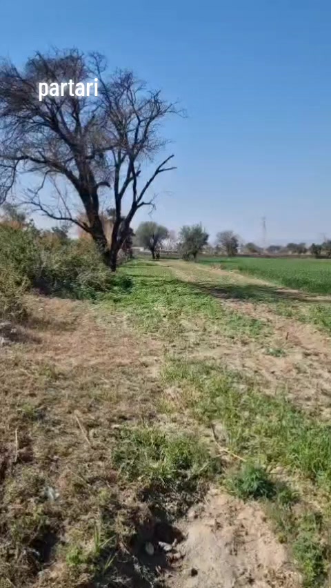 @laadi Jatt❤️
