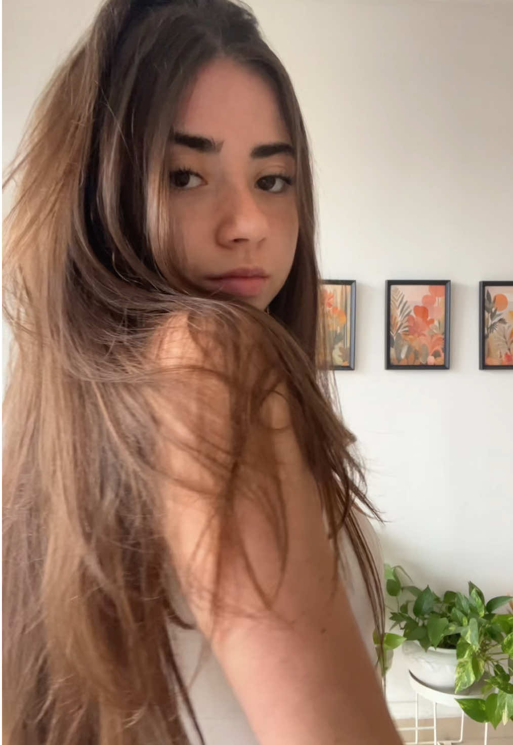 @danabrz610
