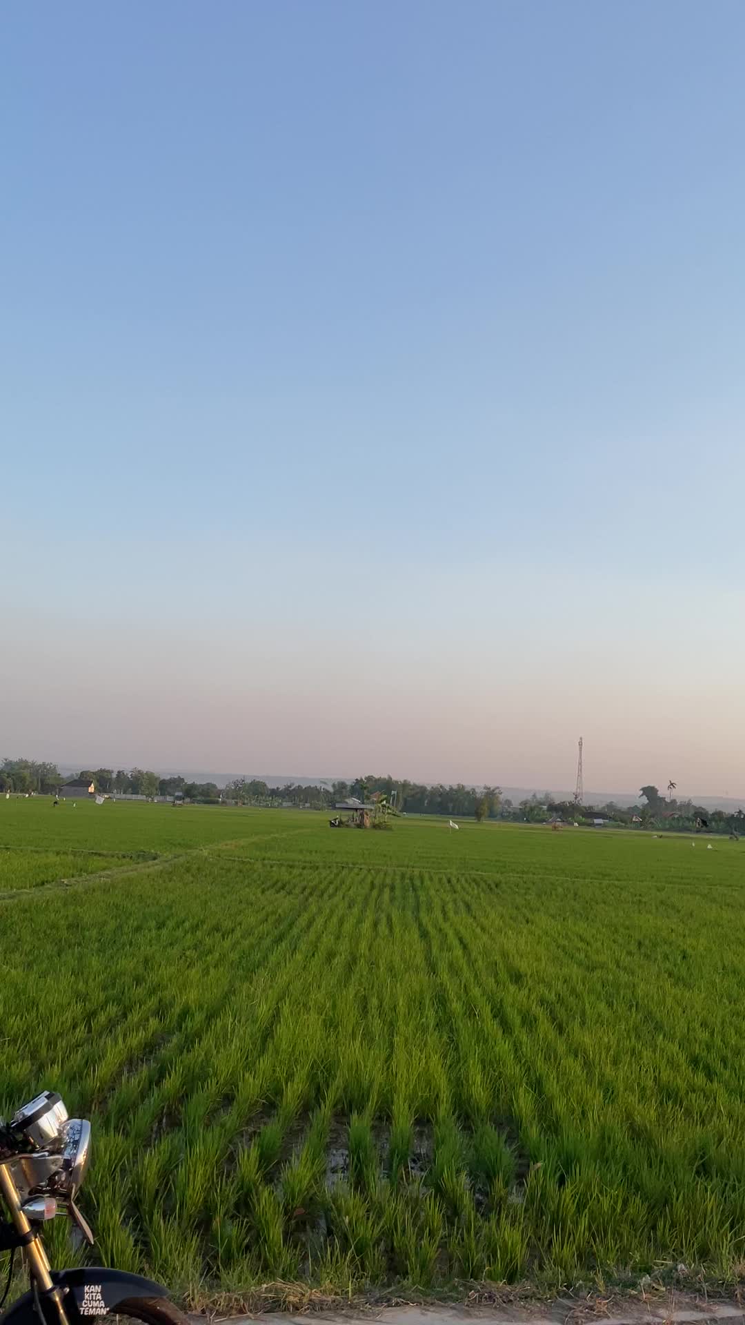 @oʙʙʏʏ 