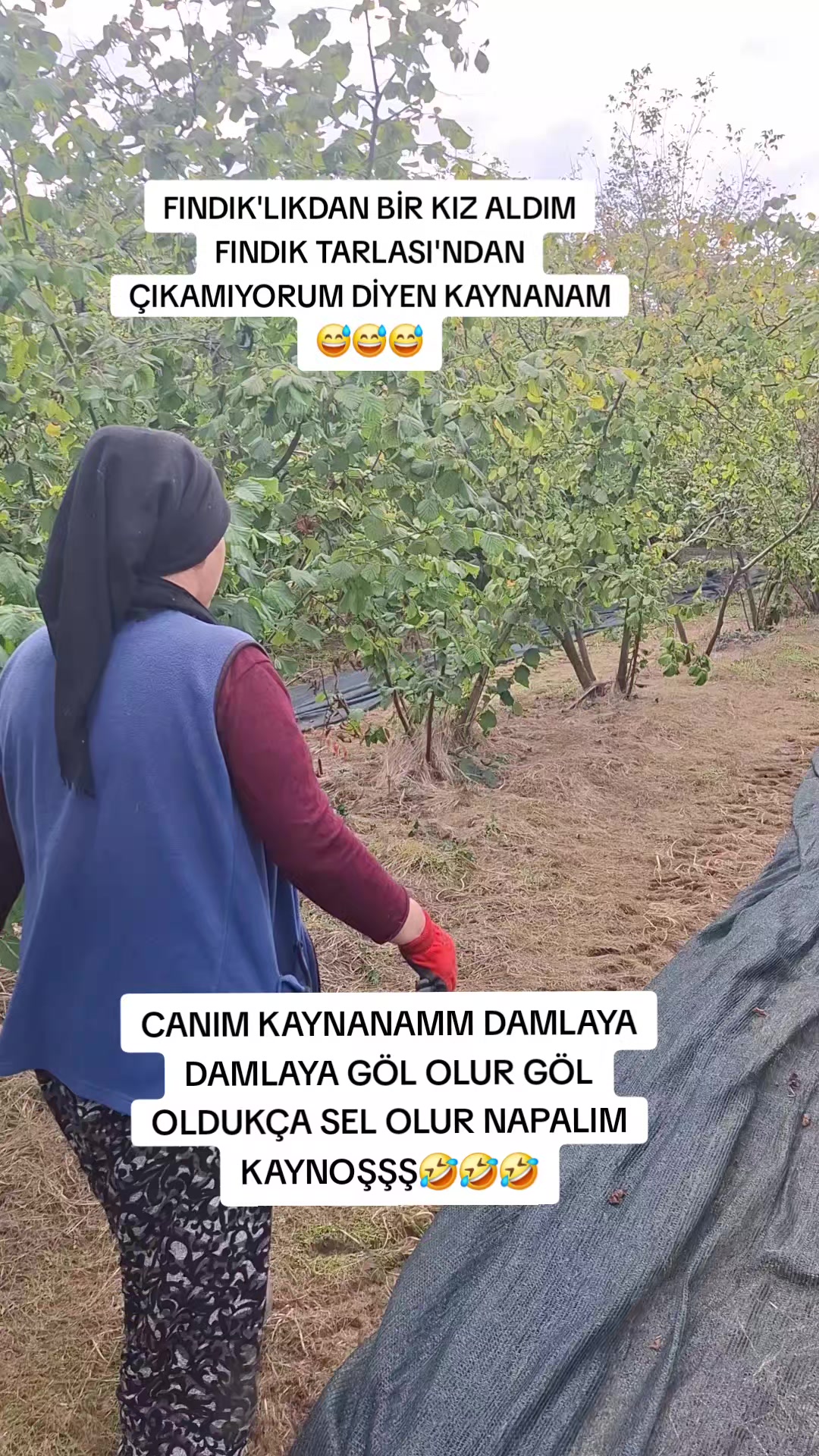 @nesibe Zengin ünlü