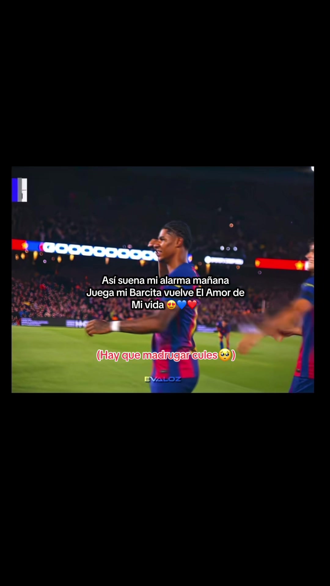 @:(..19