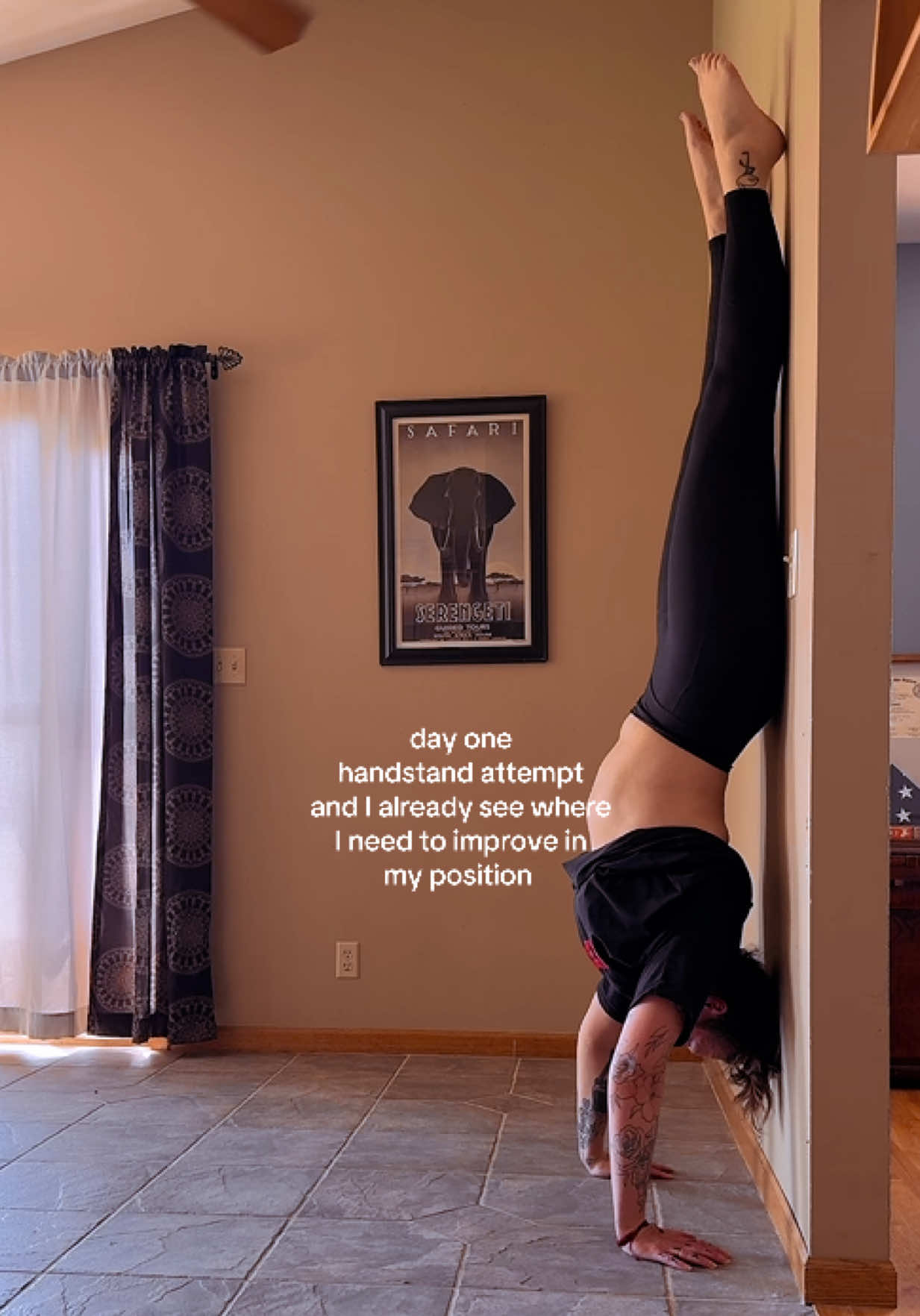 @hausofgesicat