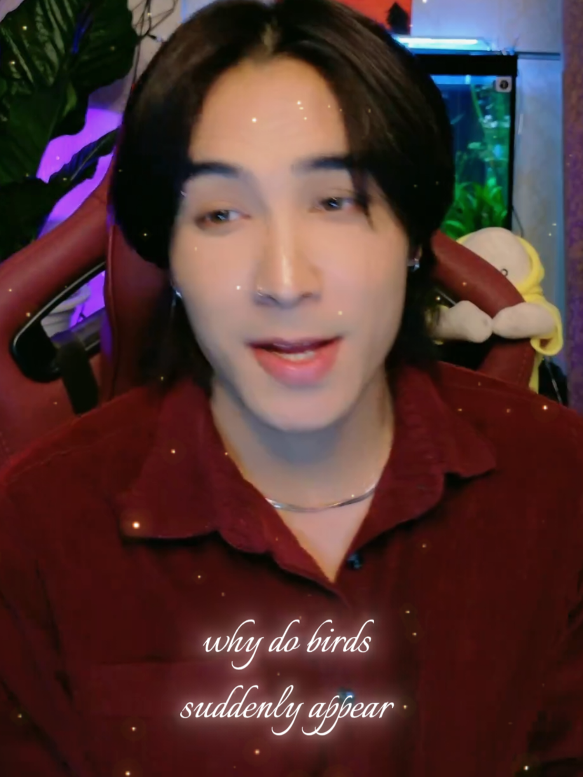 @Shasha🌒✨️