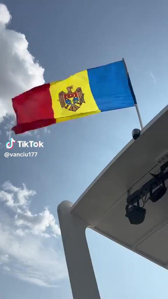 @Anișoara Viziru