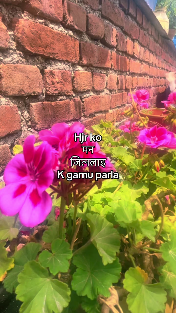 @Mahesh..