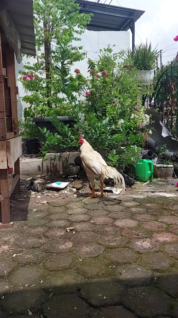 @zartdhy🇲🇨