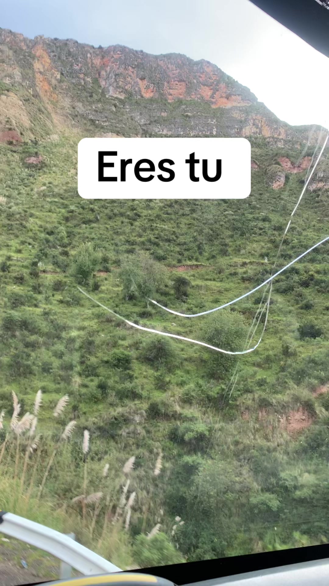 @PRÍNCIPE_CARLOS