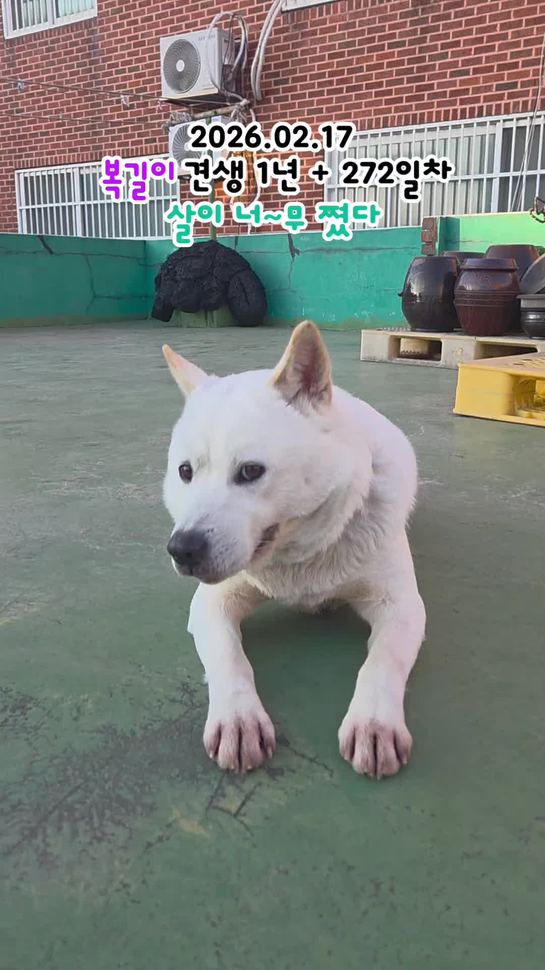 @BOK GIL
