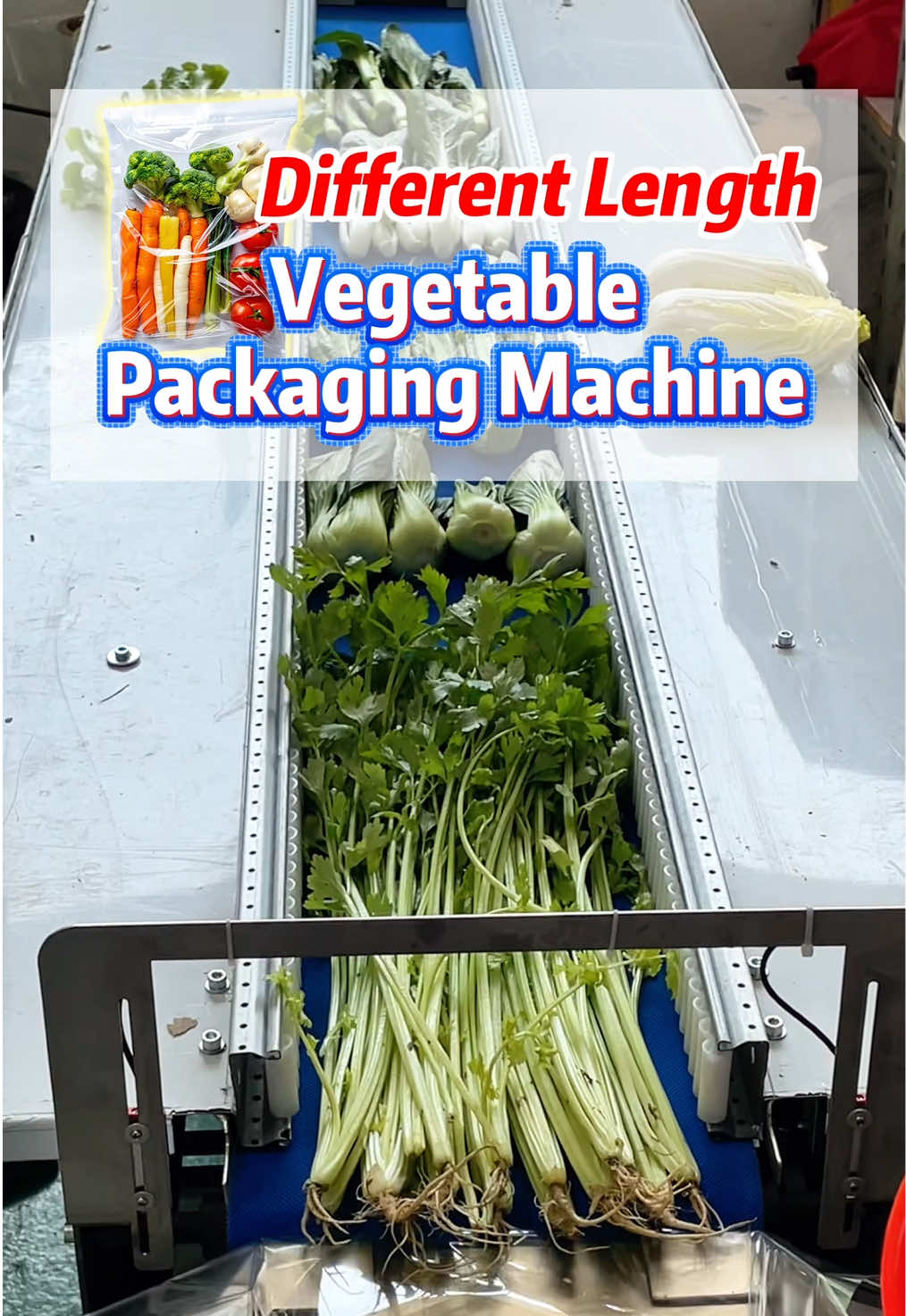 @Jiaqian Machinery