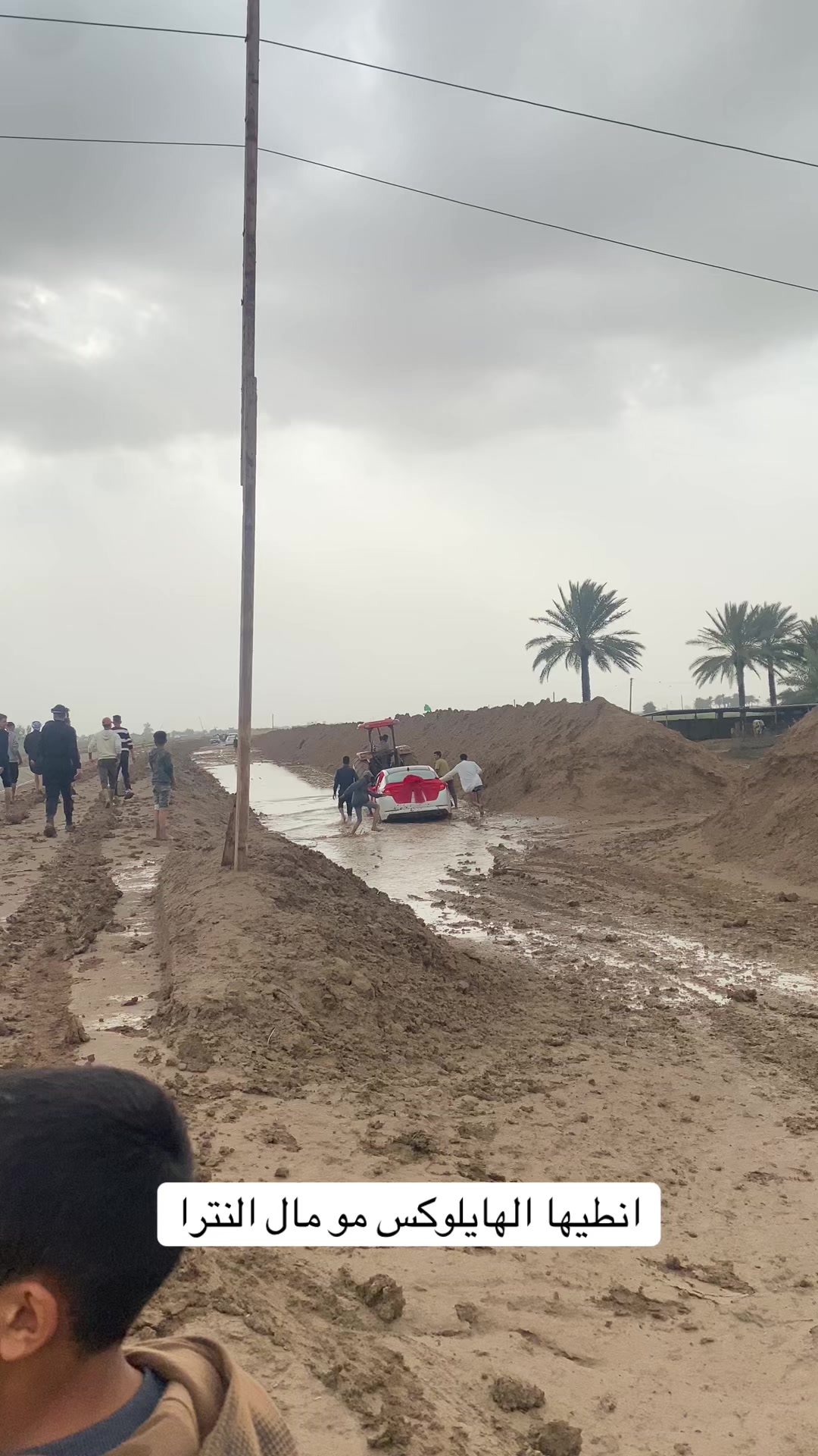 @﮼ذوالفقار ﮼حميد