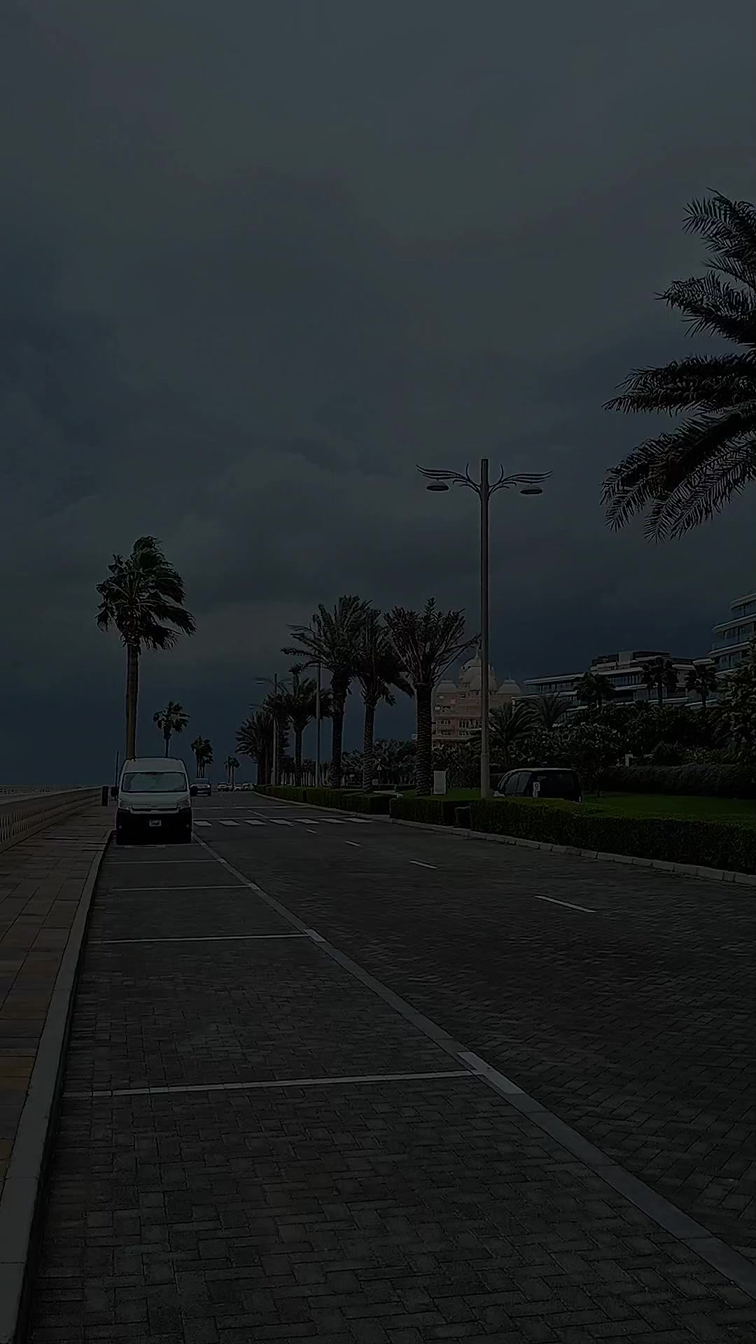 @🌈جنگلی لوگ🦅
