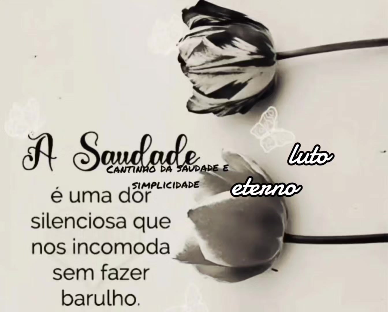@Amanda Lacerda