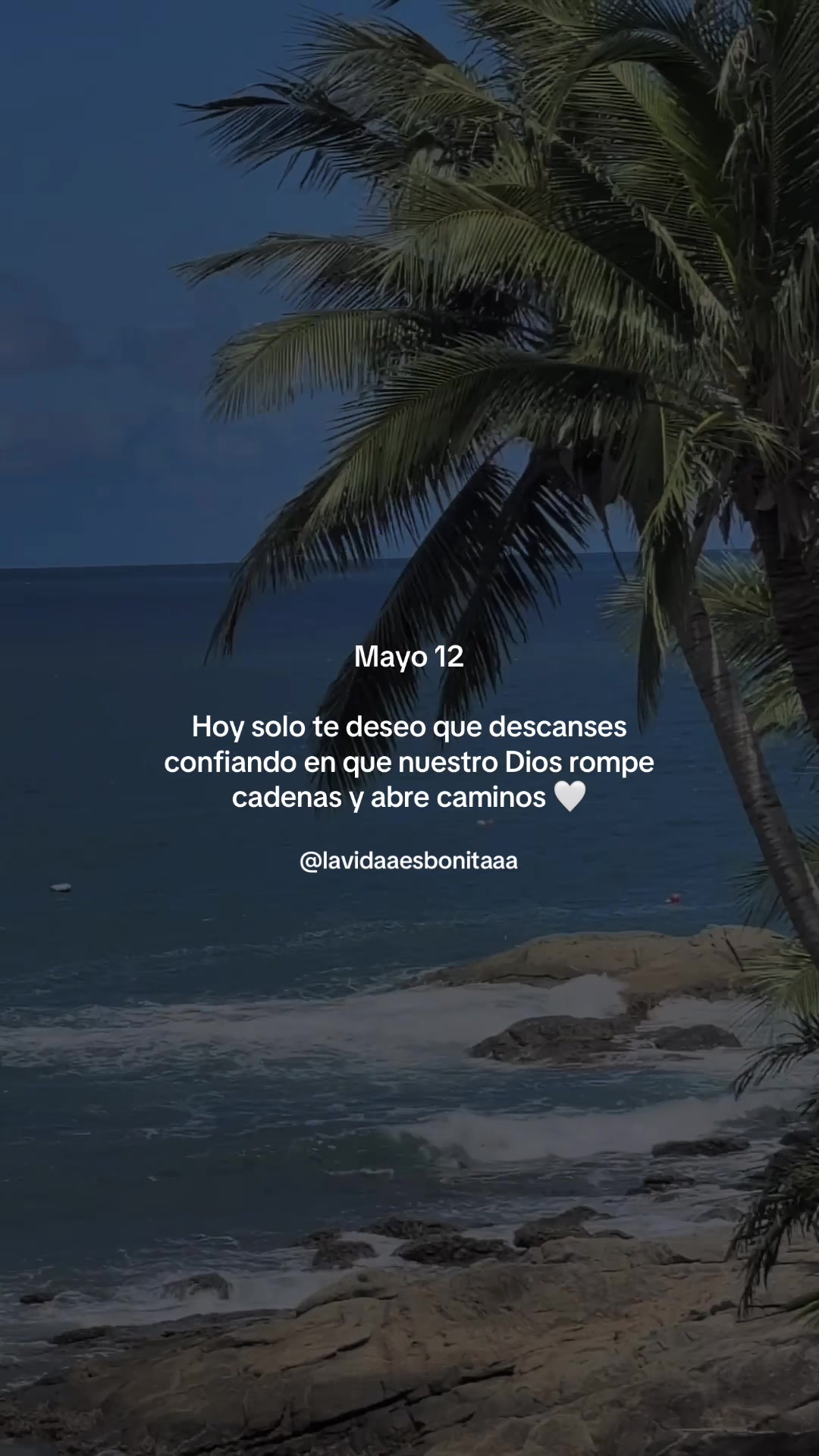 @vidabonita❤️&zwj;🩹