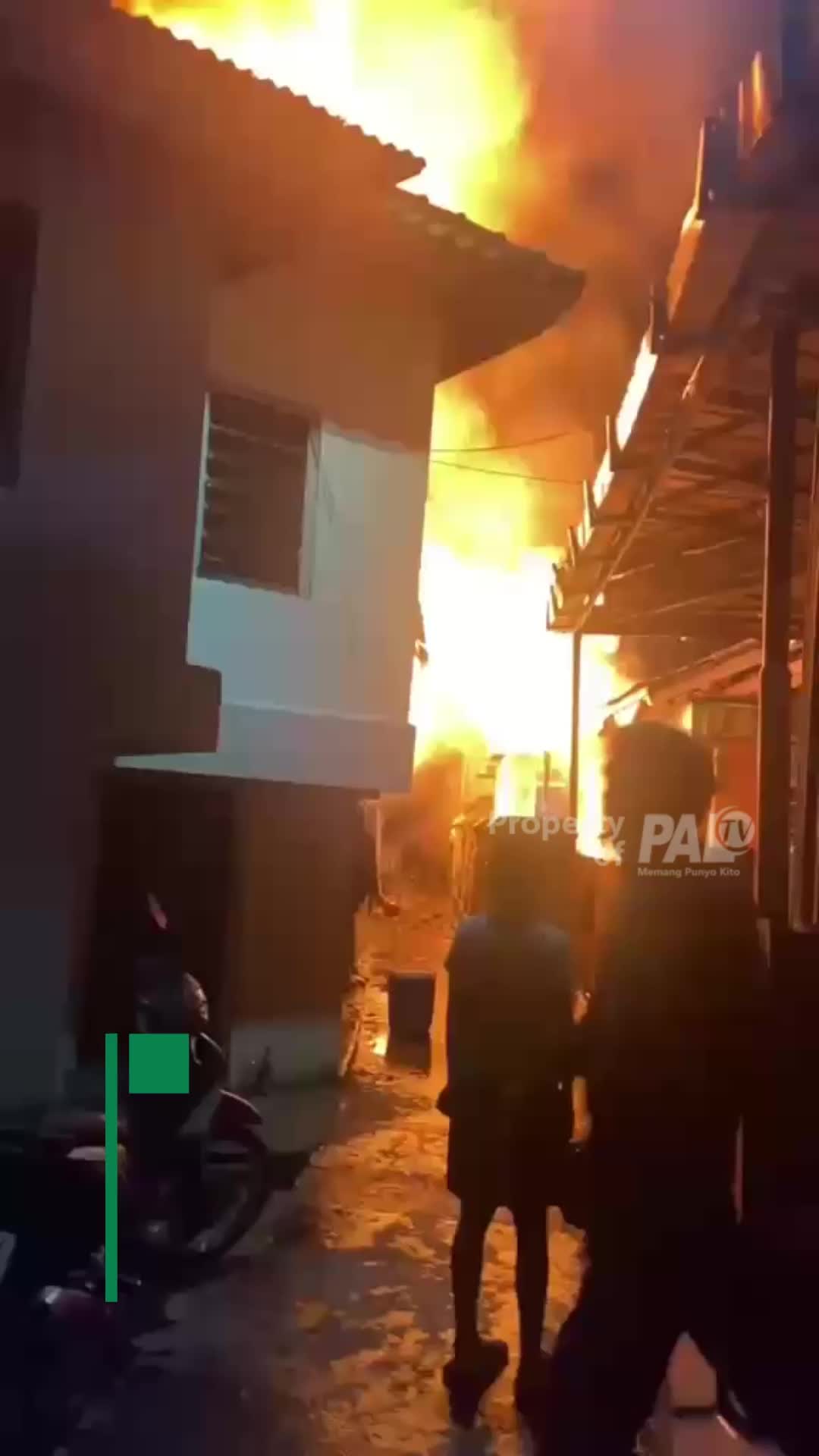 @Paltv-Memang Punyo Kito