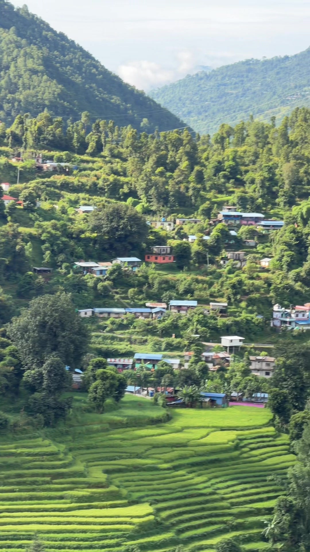 @Ramesh Karki