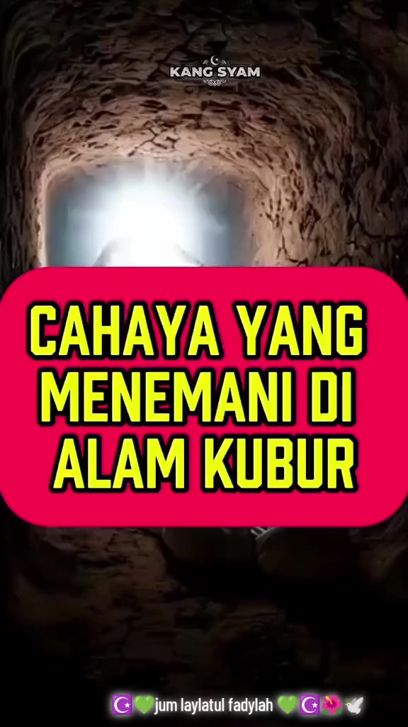 @๐ซ๐๐๐ ๐ฉ๐ฎ ๐
๐ช๐ข๐๐
๐๐๐ซ
