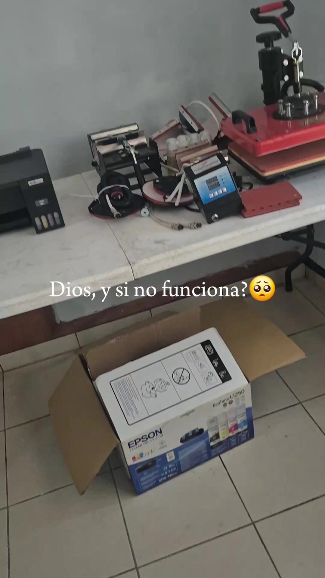 @🦴 Dɪᴀɴɴ Cᴏʀᴛᴇs☆😎🥀