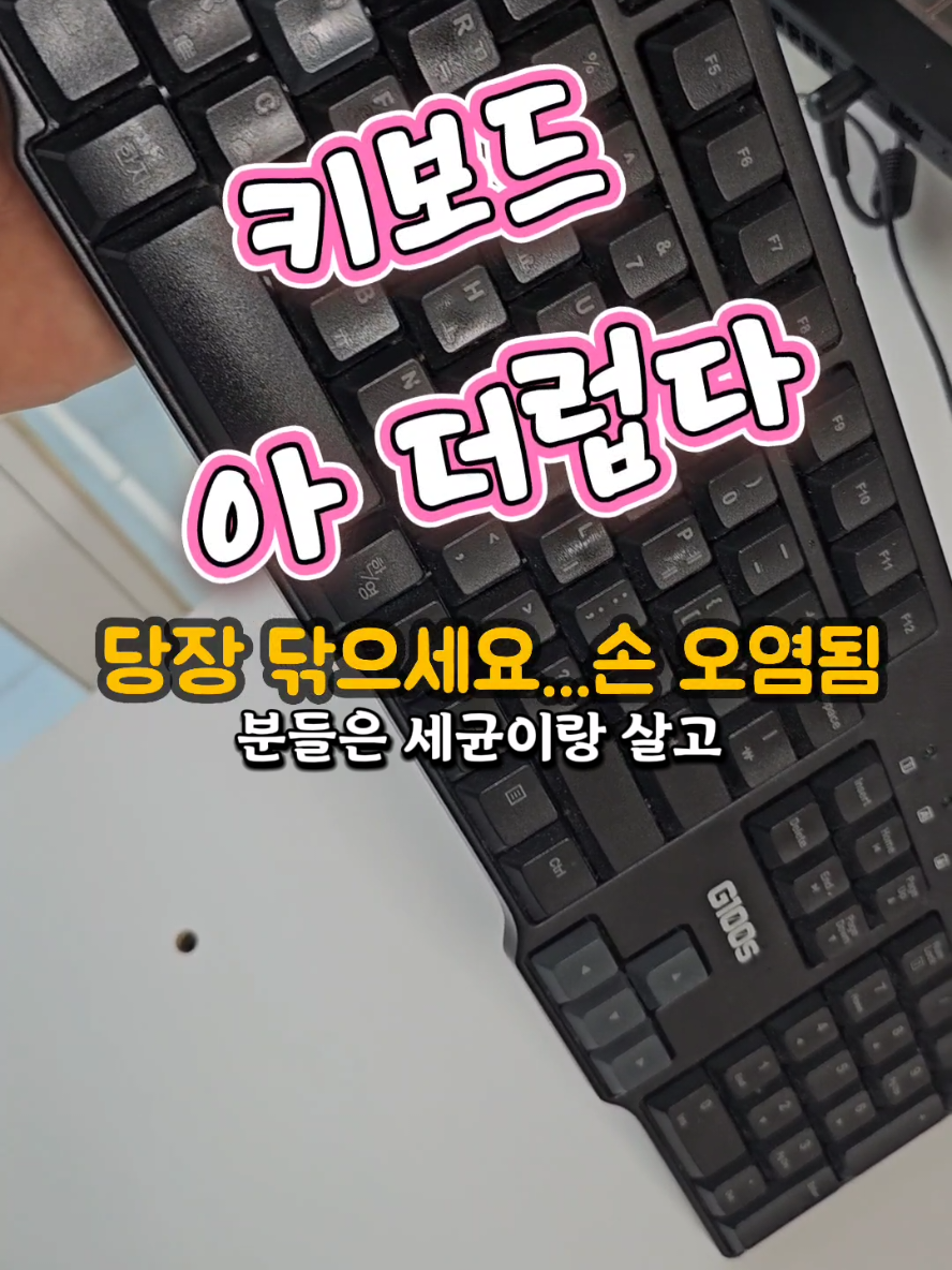 @리리꿀팁모음