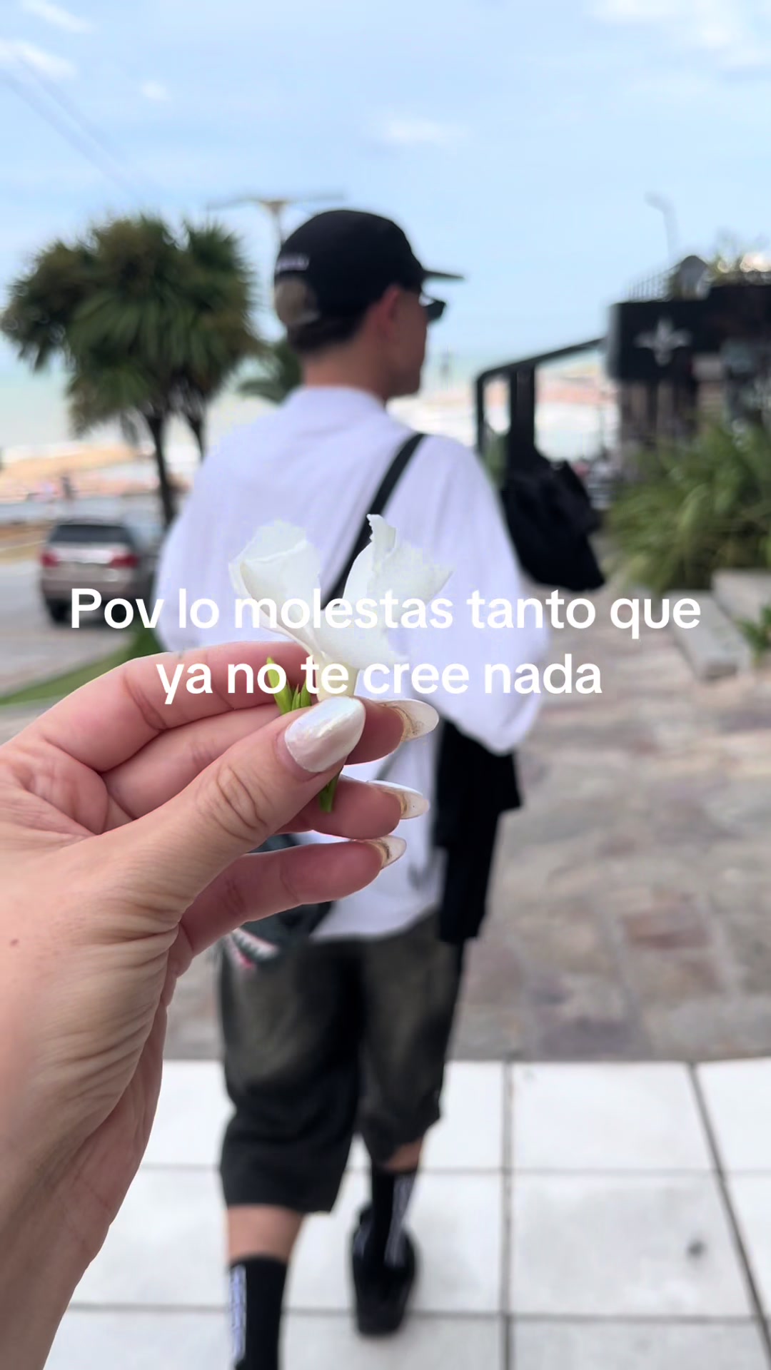 @Mariana Tibaldi