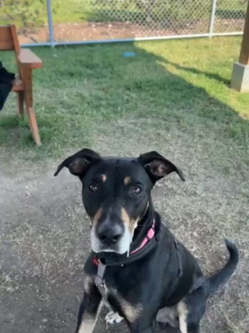 @Calgary Humane Society