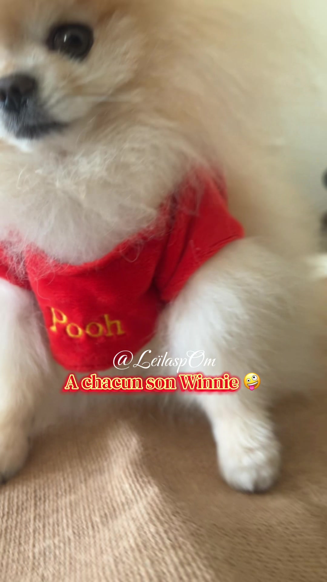 @🎀Leïla’spOm🎀