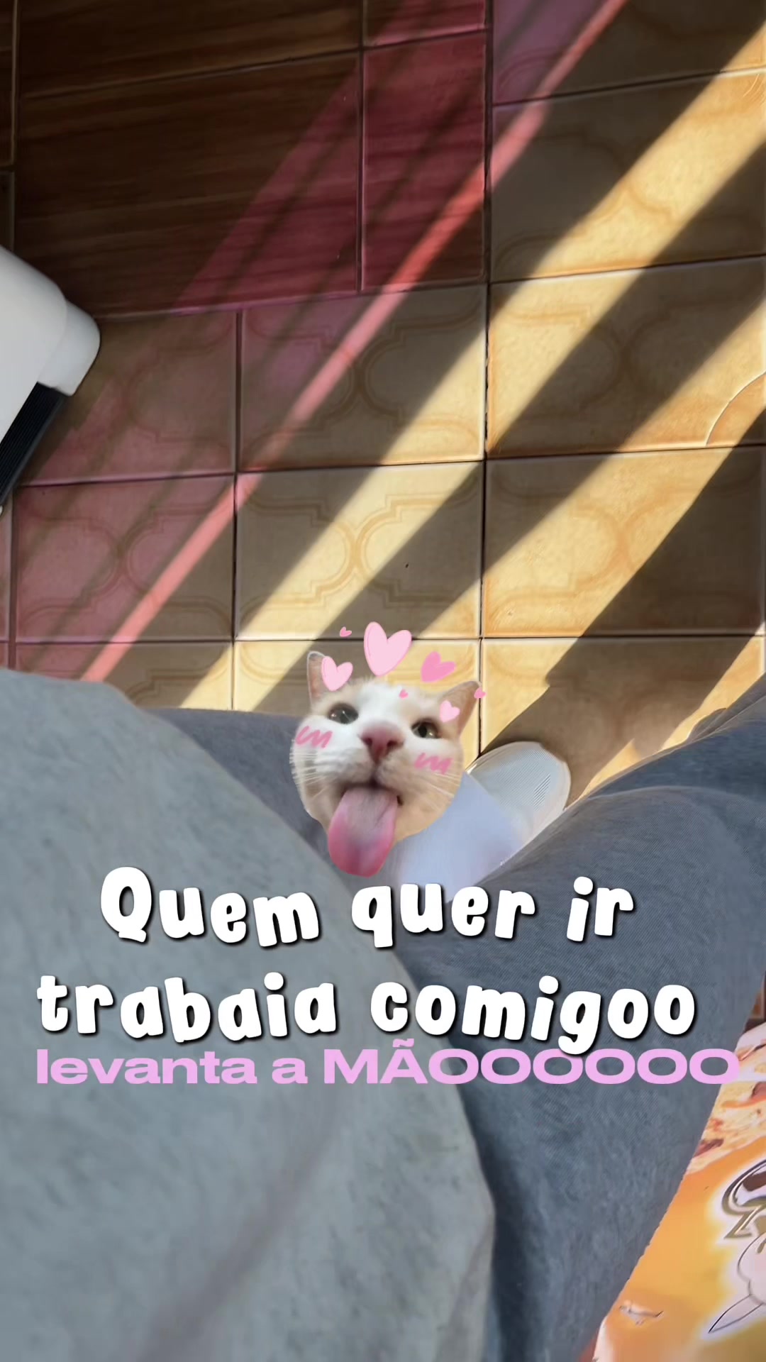 @kitty
