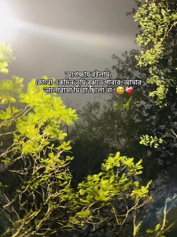 @itsabir.1