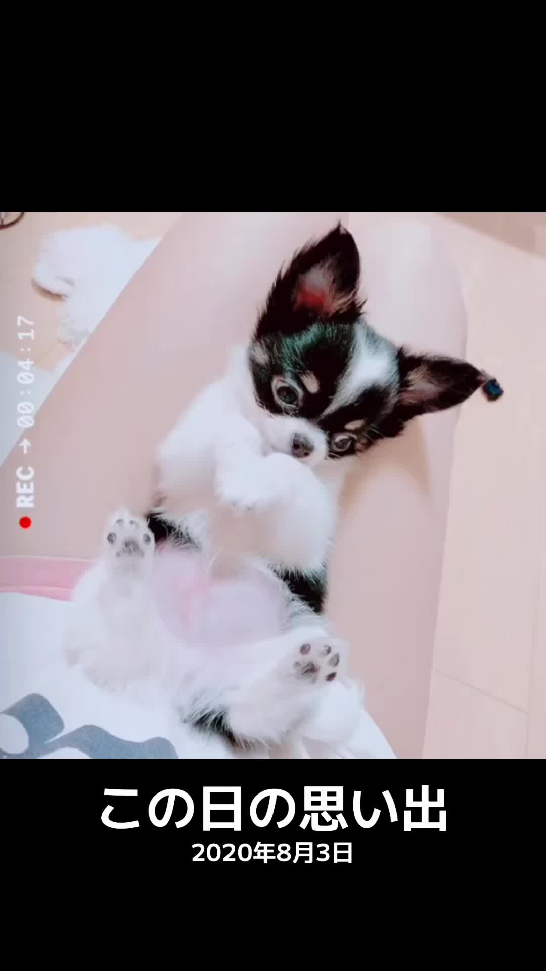 @ゆきな💍🐾