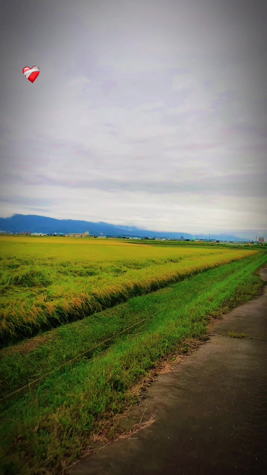 @★MR〆NEWAR Lᴀᴋʜᴇʏ 🇳🇵🥷🏻