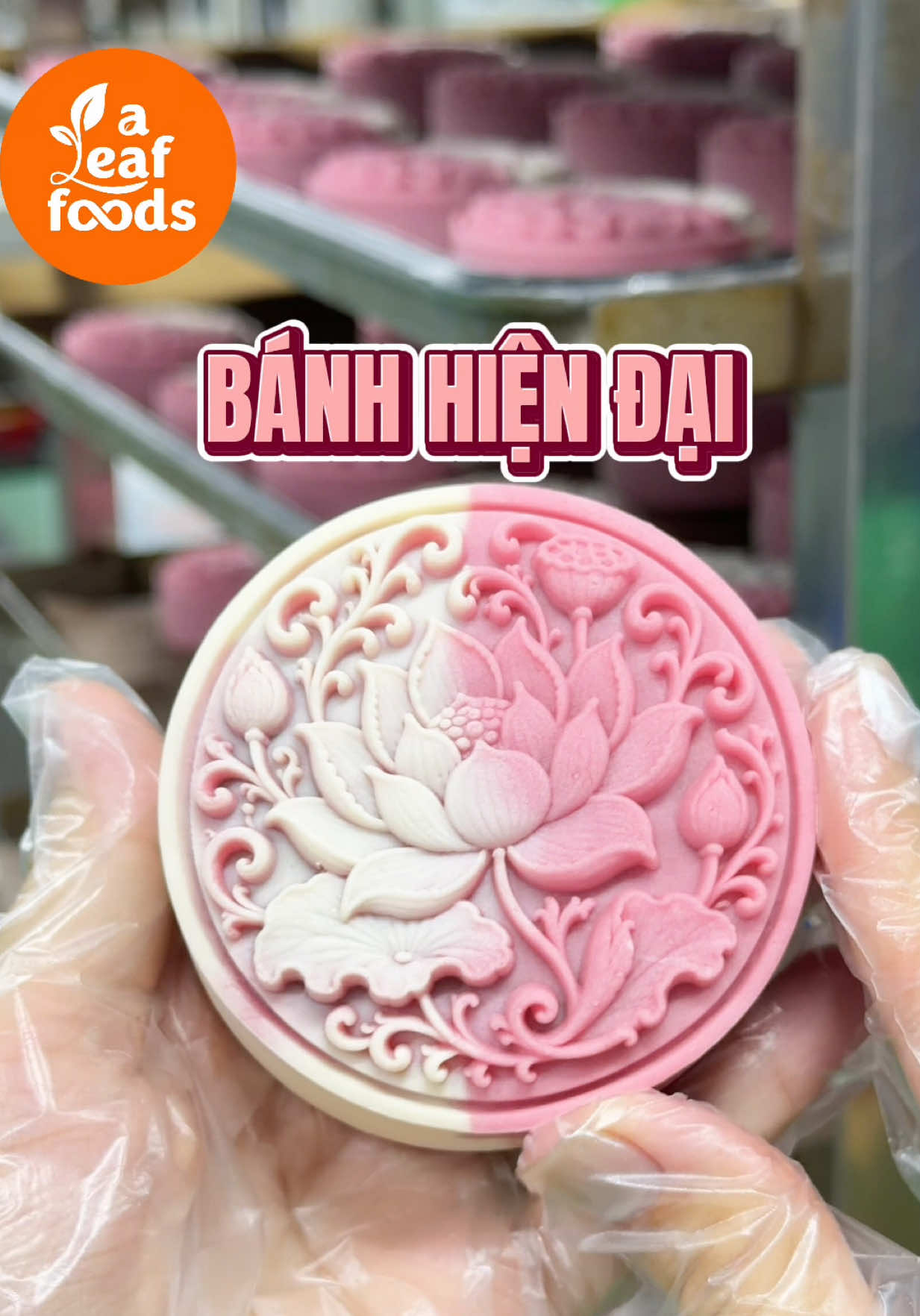 @A Leaf Foods