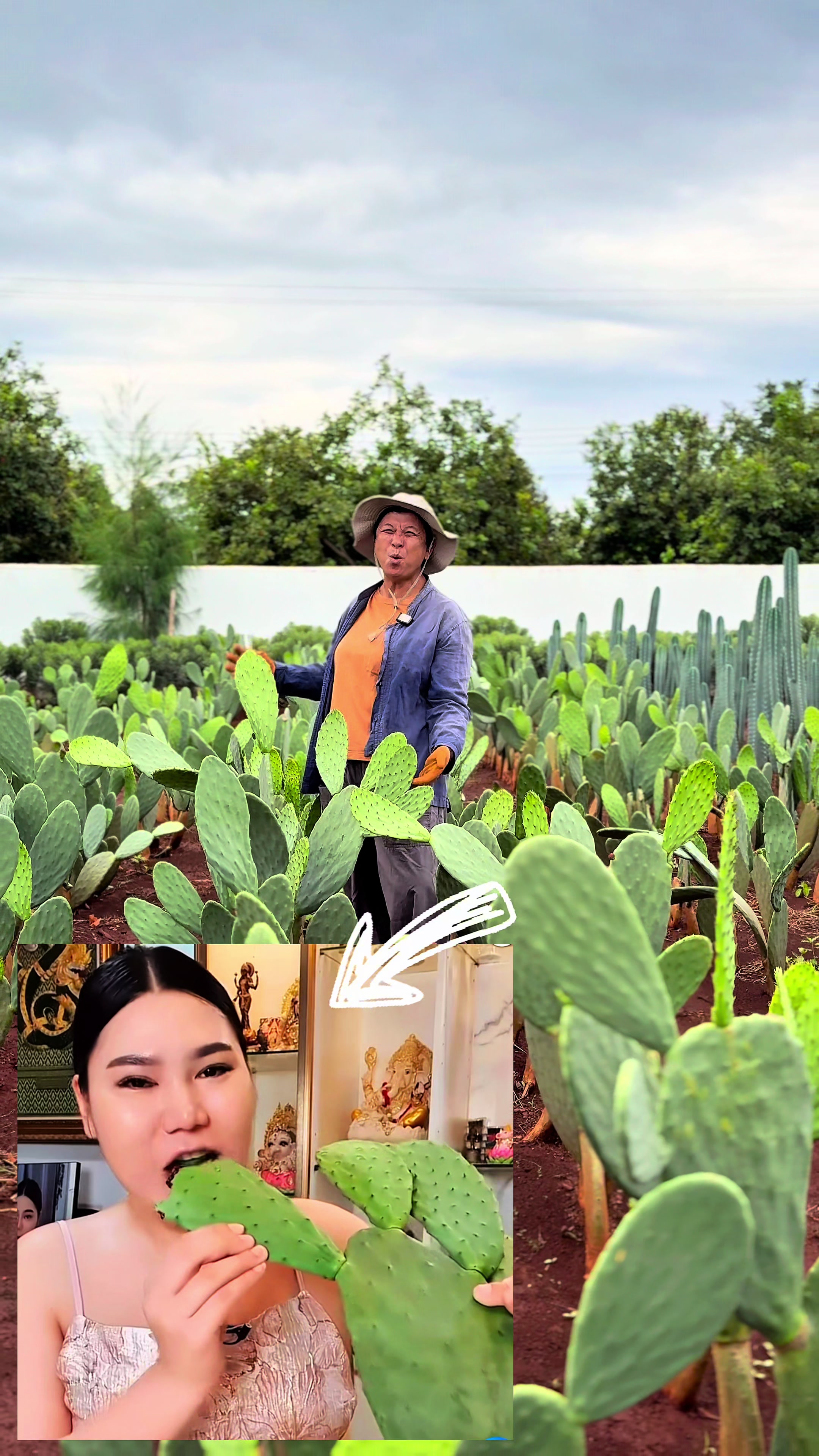 @ไร่วันยังขำ Oneyoungkham farm