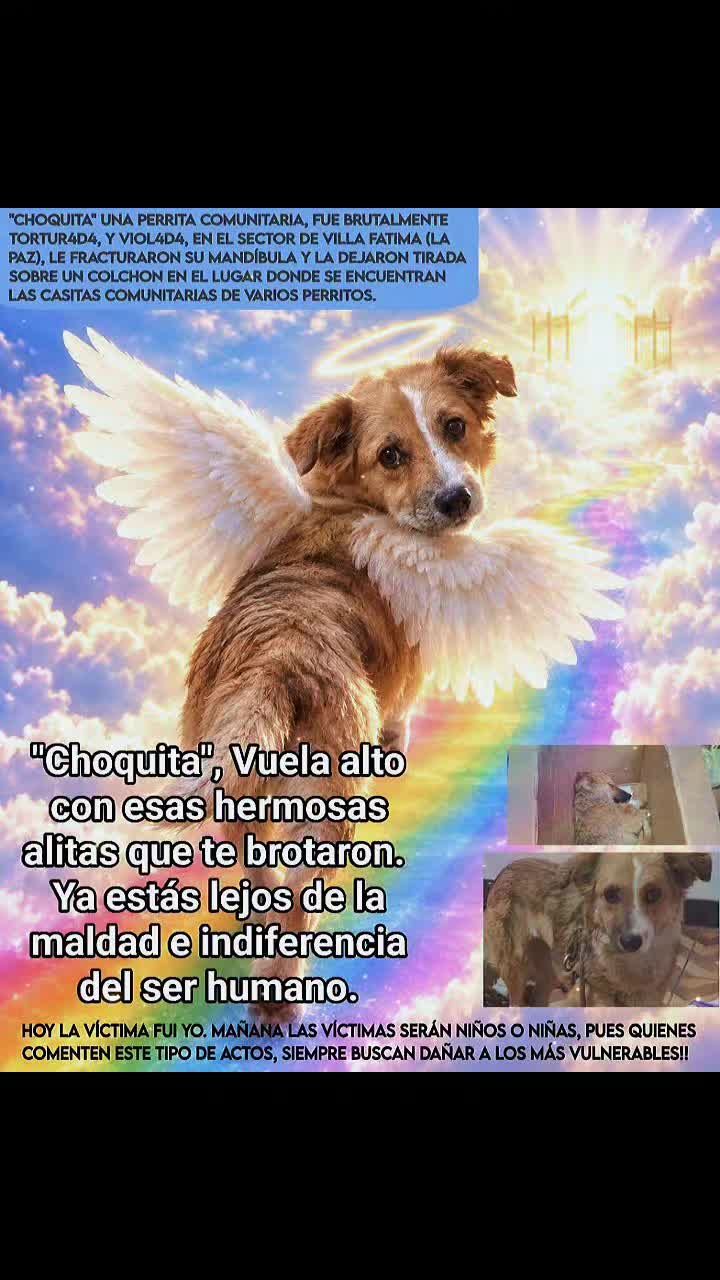 @varcan❤️