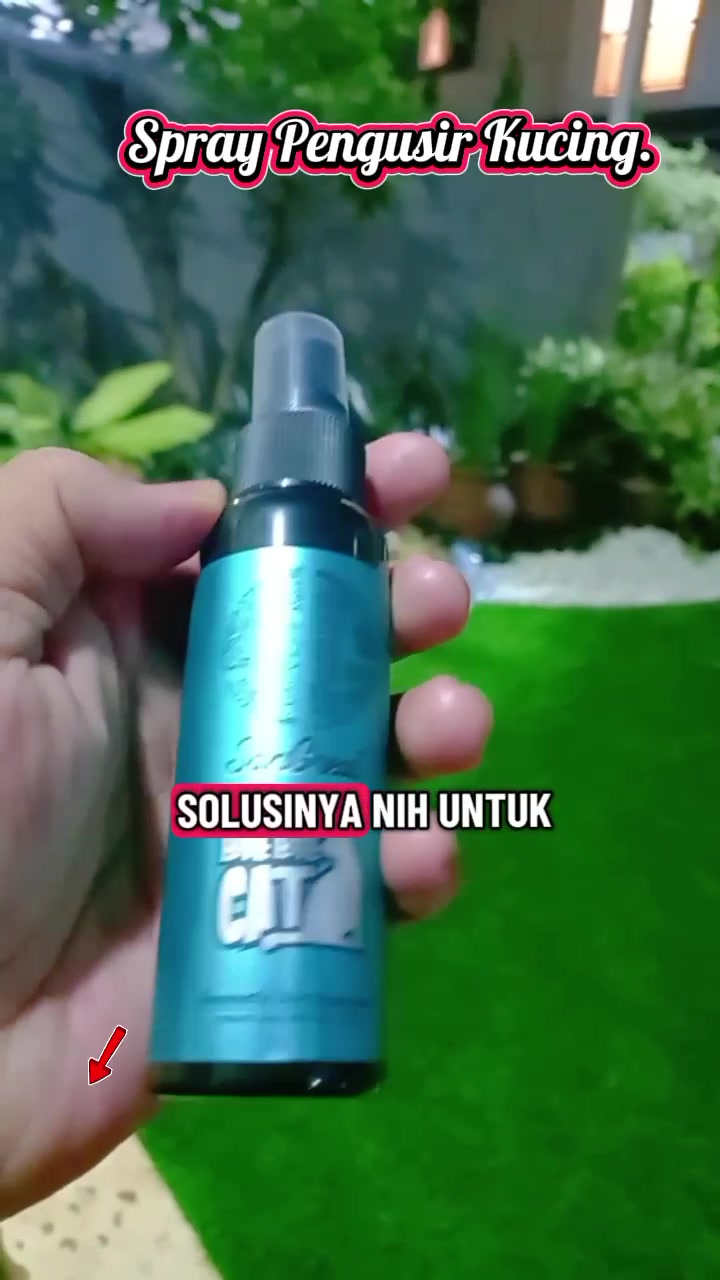 @Roslan.Robert