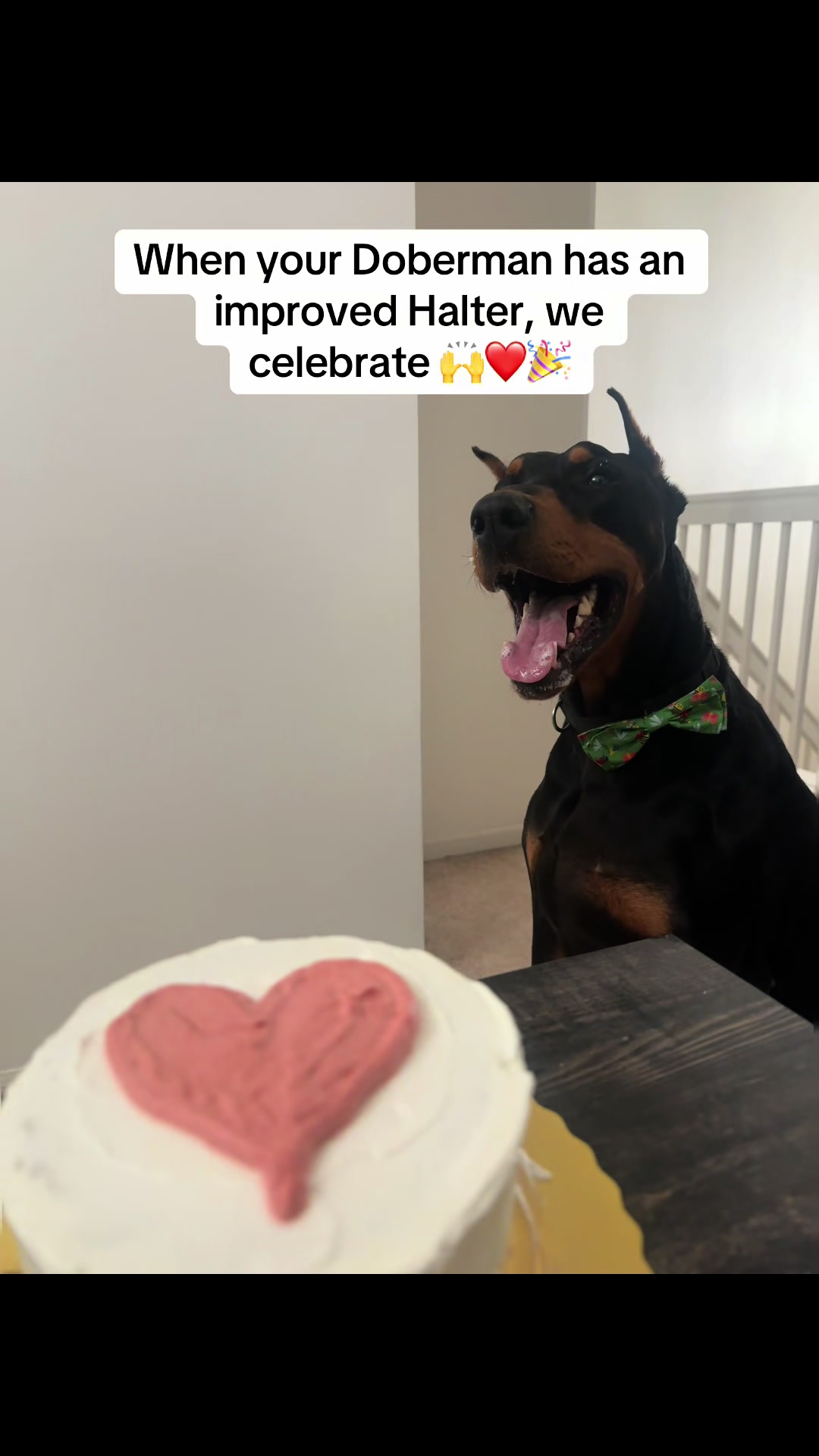 @The.Mobile.Vet.Tech