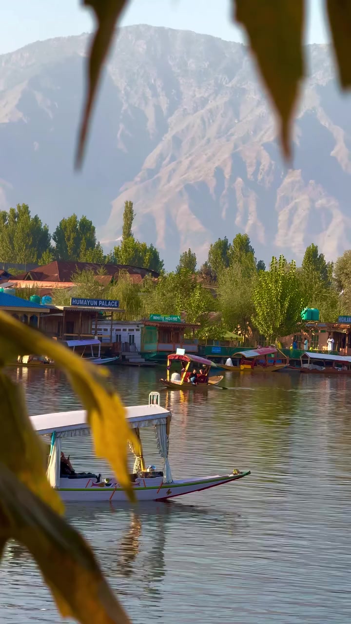 @KASHMIRI 🍁