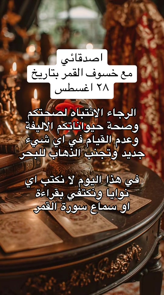 @💫 Nora Hijazi 💫