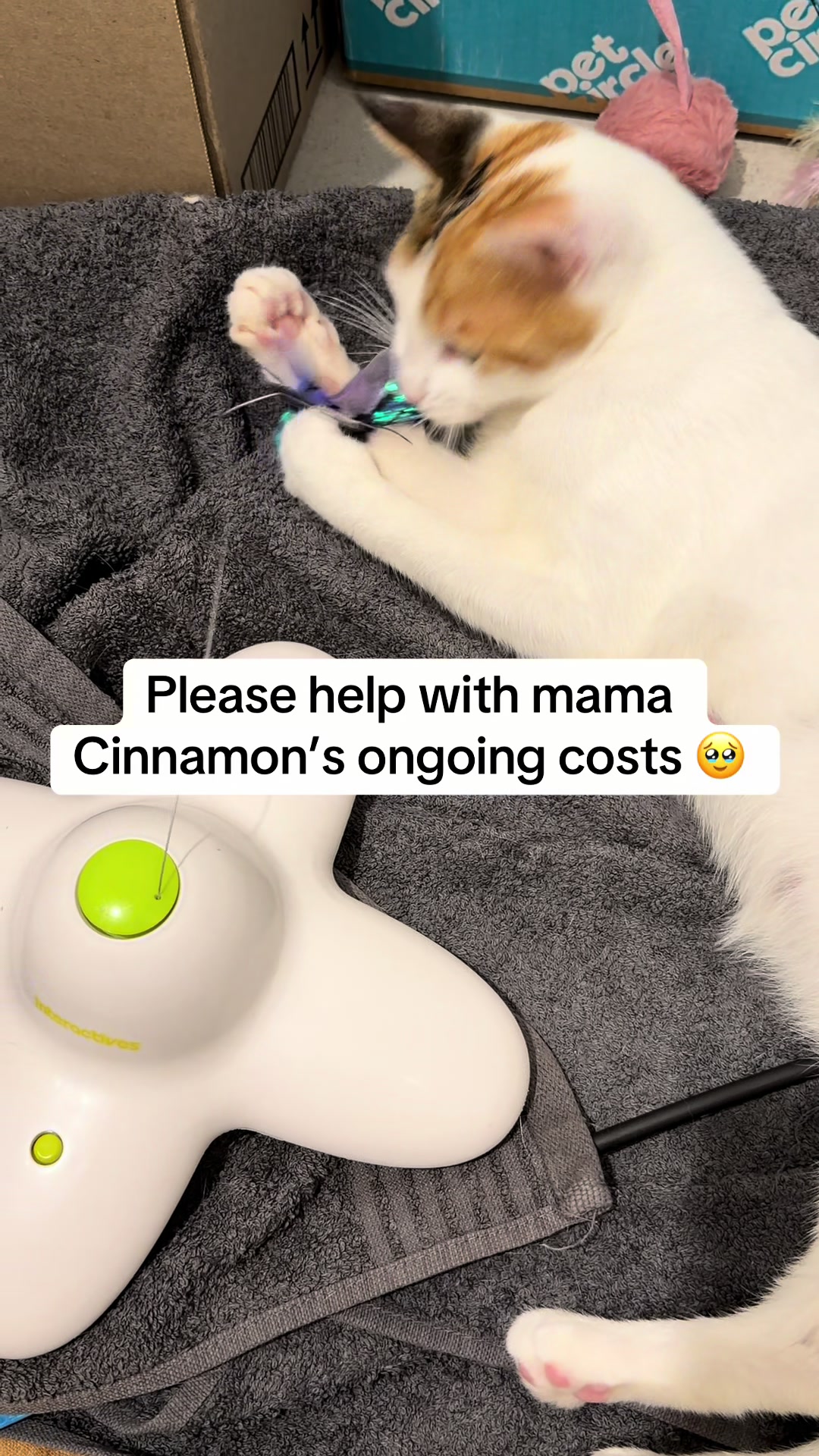 @safepawsau