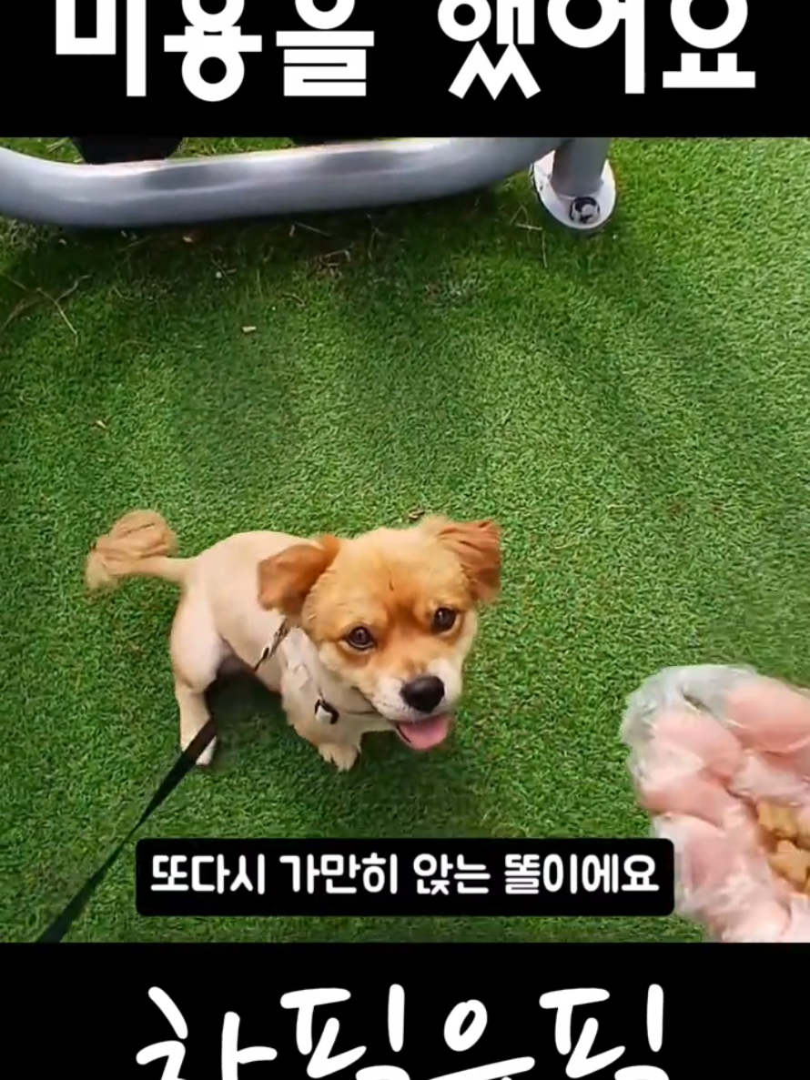 @하필유필