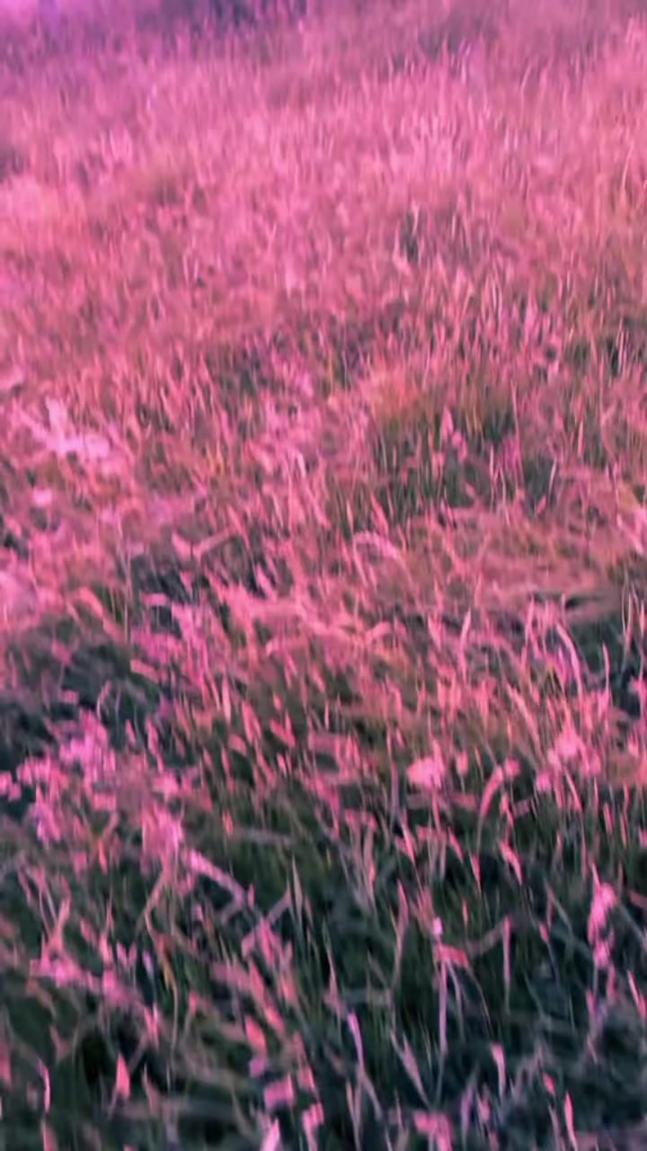 @gleb007