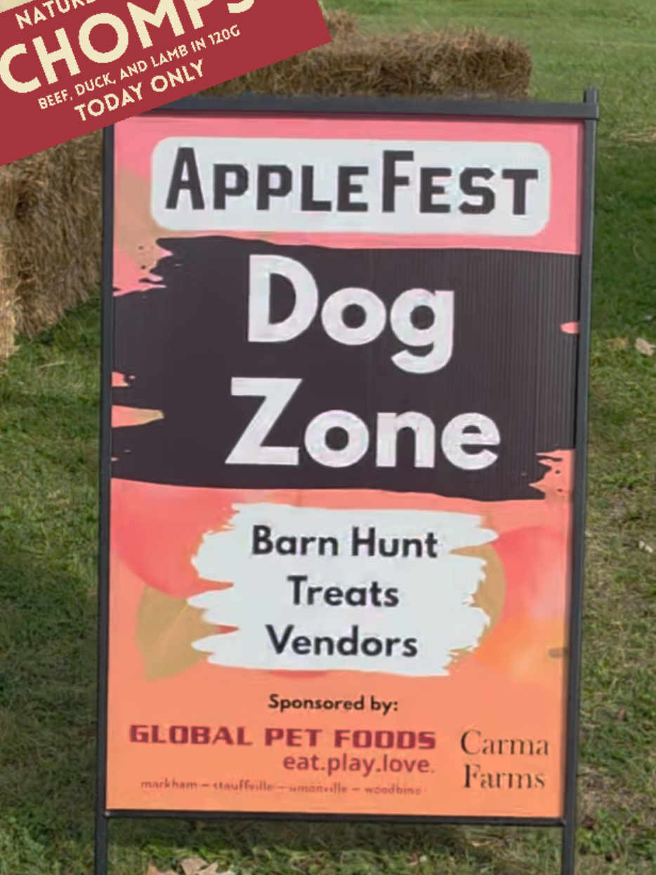 @Global Pet Foods York Region