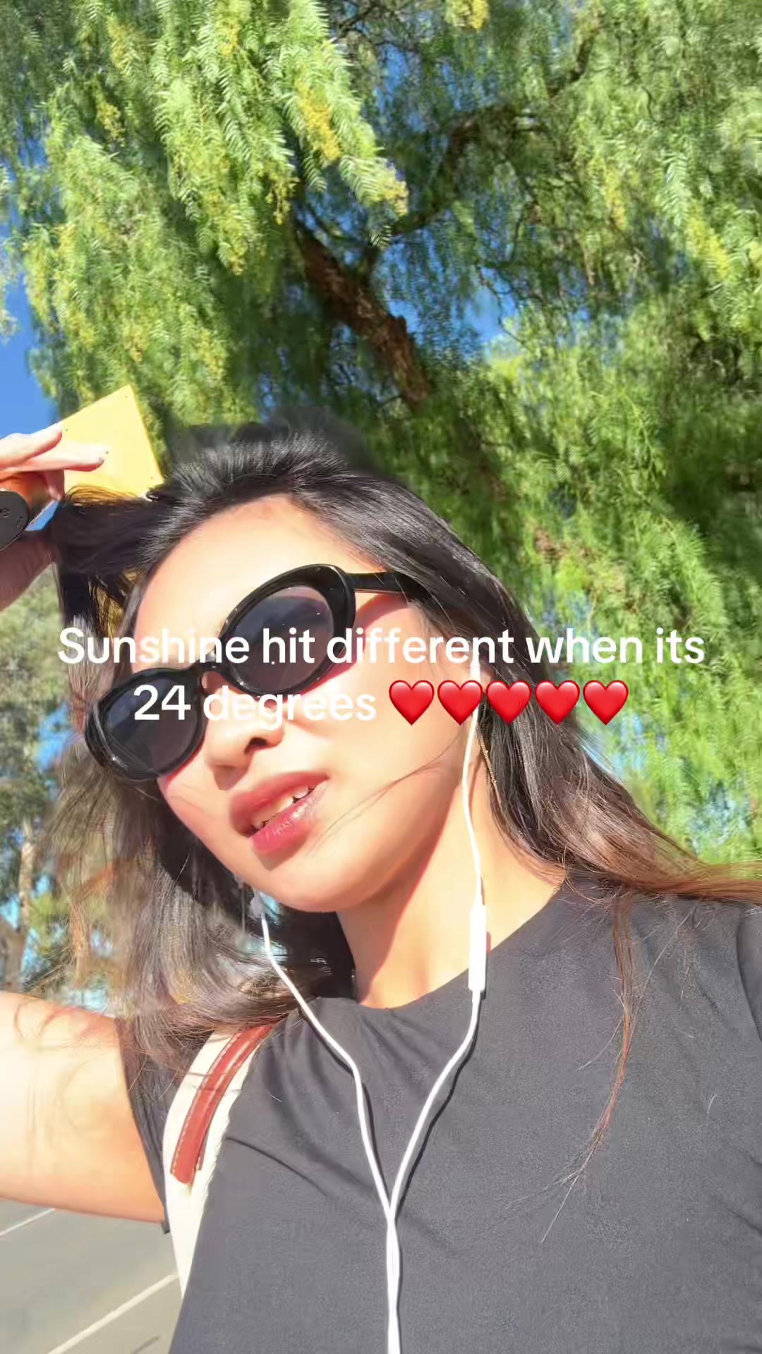 @jan lauren