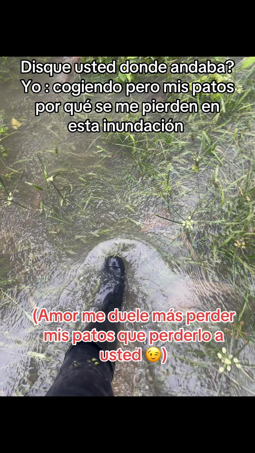 @Yulien G