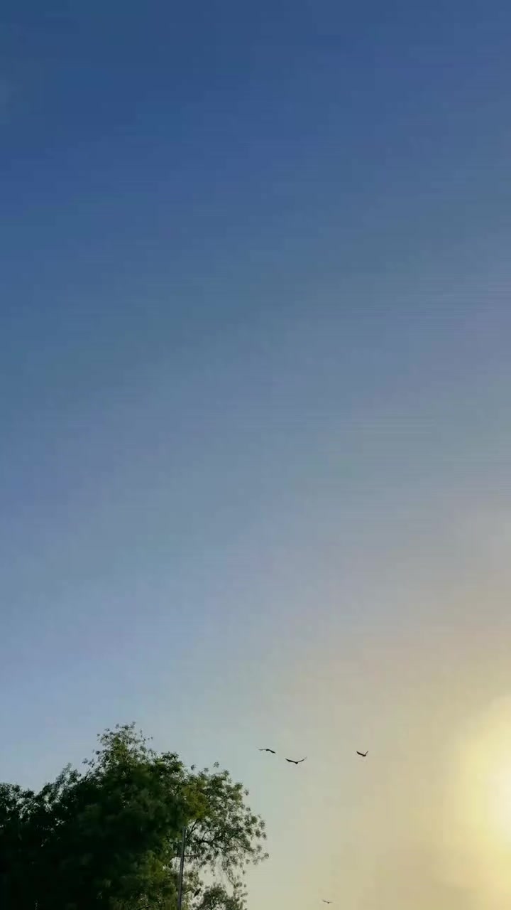 @Zaffar Ali