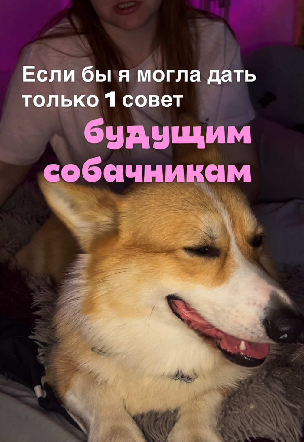 @Vlada & Santos