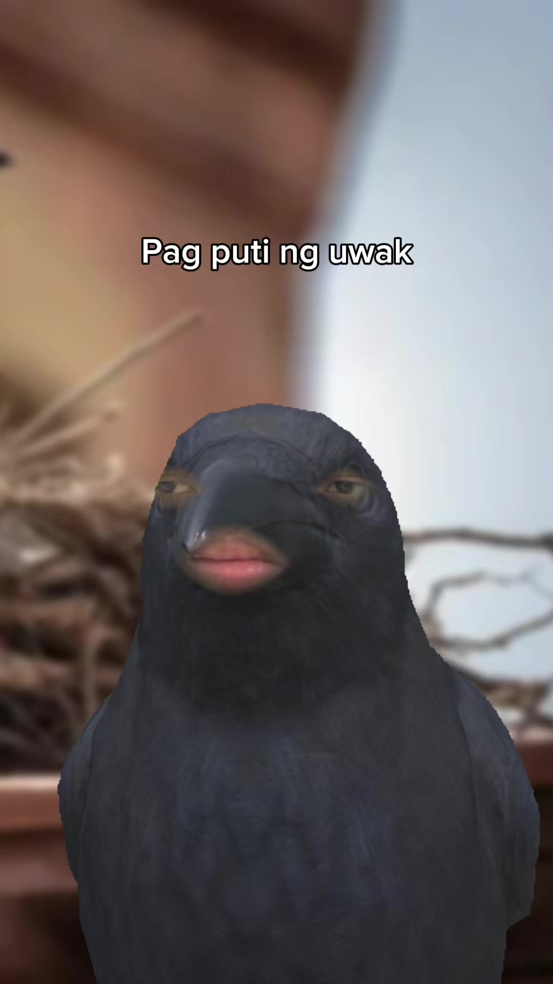 @BAET